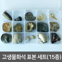 고생물화석 표본 세트 15종