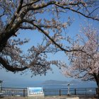 일본패키지여행 이색적인 3박 4일 즐거움 모두투어 나오시마여행 2박3일 가볼만한곳 3박4일