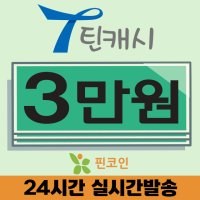 틴캐시 틴캐쉬 3만원권 핀번호 할인