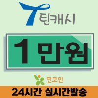 틴캐시 틴캐쉬 1만원권 핀번호 할인