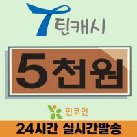 틴캐시 틴캐쉬 5천원권 핀번호 할인