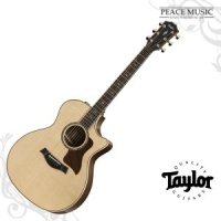 TAYLOR 테일러 814-ce 814ce(ES2, V-Class) 통기타