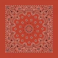 롤스트릿 하바행크 Paisley Bandana-TERRACOTTA