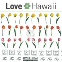 [lovehawaii]네일아트 러브하와이 워터데칼 스티커 NO201A