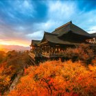 일본 땡처리항공권 2박3일 오사카자유여행 가족휴양관광 3박4일 모두투어패키지 여행 초특가