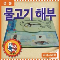 물고기해부(5명1세트)