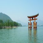 일본 패키지여행 여행지소개 하나투어 일본 시코쿠 후기 2박3일 벚꽃 뭉쳐야뜬다 온천 시내관광
