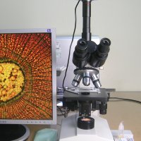 3안 생물현미경+300만화소 카메라+이미지분석소프트웨어+커버글라스+슬라이드글라스+프레파라토