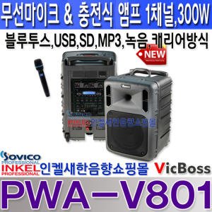 빅보스 PWA-V801