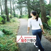 브라운캐빈(2인기준/ 1박 )+ 제주도렌트카/아스란(2015년)(24시간)+ 제주도항공권⇒ 제주도여행패키지◈ 제주대가족숙소◈서머셋 제주신화월드조식, 제주블루네집, 제주신화월드서머셋