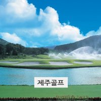 골프장그린피 세인트포+크라운+골프텔제주도골프 장 제주에코랜드cc 제주카멜리아힐 제주코코몽에코파크