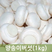 두리반농산 양송이버섯1kg  1박스