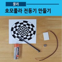 호모폴라 전동기(10인용.착시현상)