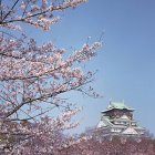 5월, 3박4일 일본 패키지여행 오사카 유니버셜스튜디오(USJ) 굿초이스