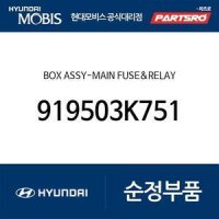 박스-메인 퓨즈 ＆ 릴레이 (919503K751) 그랜저TG, 쏘나타NF 현대모비스부품몰