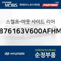 그랜저HG 사이드미러커버 백미러커버,운전석쪽 (하이퍼메탈릭) (876163V600AFHM)