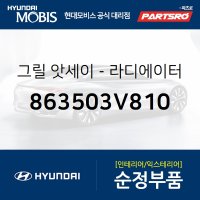 그랜저HG 순정 라디에이터 그릴 (카메라 포함) (863503V810)