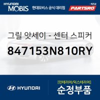 에쿠스 센터 스피커 그릴(색상 다크네이비) (847153N810RY) 뉴 에쿠스 현대모비스 부품몰