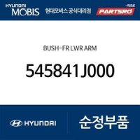 부쉬-프론트 로워 암(G) (545841J000)  i40, 올뉴 프라이드, 더뉴 프라이드, 엑센트, 올뉴 모닝, I40