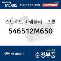 스트러트(쇼크업쇼바)-프론트 왼쪽 (546512M650)  더뉴 제네시스 쿠페 현대모비스 부품몰