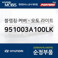 블랭킹 커버-오토 라이트 센서 (951003A100LK)  싼타페, 투스카니, 트라제XG, 테라칸