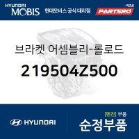 싼타페DM 센터미미(롤로드 브라켓) (219504Z500) 싼타페 더 프라임 현대모비스 부품몰