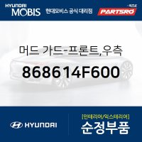 머드 가드-프론트,우측 (868614F600)  포터2, 포터2 특장