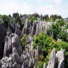 항주 3박4일 중국 패키지 여행 동방명주 2층버스 송성가무쇼 5대 서호