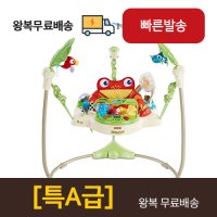 [대여][점퍼루대여](특품) 피셔프라이스 레인포레스트 개구리 점퍼루 2019년형