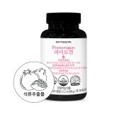 파이토뉴트리 파미로겐 900mg x 120캡슐