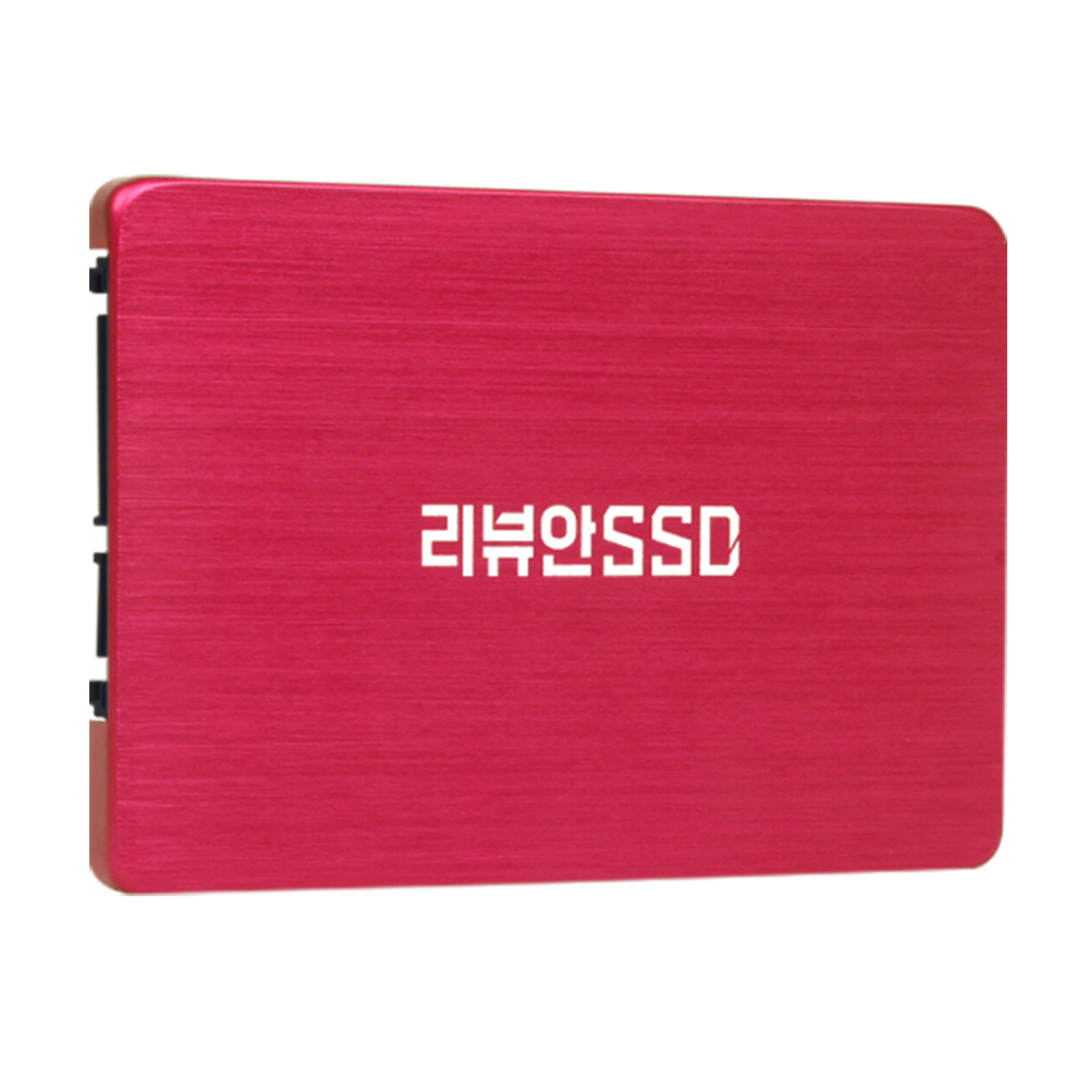 리뷰안 G900프로 SSD M.2 256GB NGFF 2280 PC 노트북