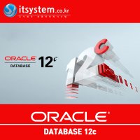 오라클 ORACLE DBMS 12c SE2 70NUP for 윈도우즈 서버