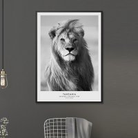 위드포스터 사자 동물 액자 인테리어 그림 50x70 포스터