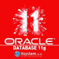 오라클 ORACLE DBMS 11g SE2 50NUP for 윈도우즈 서버