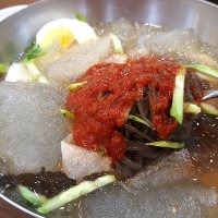 옥천막국수10인분 비빔장 500g 풍원육수5 겨자소스 5