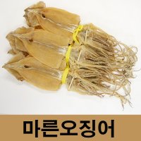 건어물광장 동해안 마른오징어  마른오징어1kg