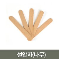 *수성 설압자(나무)