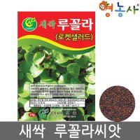 새싹 루꼴라씨앗 15g  단품