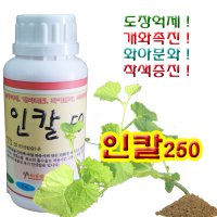 인칼 50  250ml