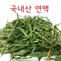 달나라 국내산 연맥(오트헤이) 200g 건초  1개