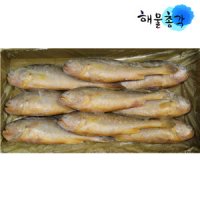 부세조기 9마리