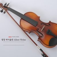 영창 YVN-490 교육용 입문용 연습용 바이올린