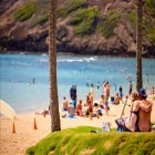 4박6일 호놀룰루 오아후 패키지여행 하와이여행 하와이 단체관광 아울라니디즈니+힐튼하와이안