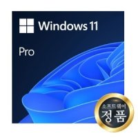 Windows 11 Pro GGWA 기업용 CSP 영구 라이선스