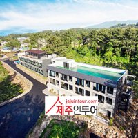 리벤시아 1박 제주도오픈카렌트,제주도머스탱렌트