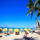 하와이 자유여행 공항셔틀 특별가 8일 5박 7일 휴양지여행 에어텔 여행사