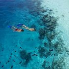 [몰디브 패키지여행] 추석연휴 해외여행 초특가