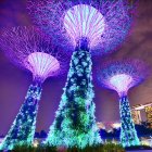 싱가폴여행 싱가포르 바탐 3박5일 전신마사지 레드하우스칠리크랩 싱가폴전문 무제한삼겹살