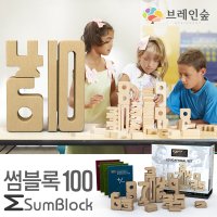 브레인숲 썸블록 100