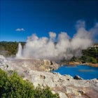 뉴질랜드 패키지 9박11일 호비튼 8일 + 시드니 핵심일정 시티팜 동창회 + 포트스티븐스